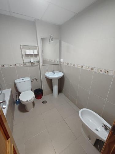 a white bathroom with a toilet and a sink at Altet San Francisco in El Alted