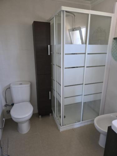 a bathroom with a toilet and a shower and a sink at Eva luna san juan in Alicante