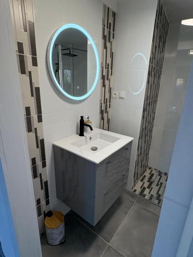 a bathroom with a sink and a mirror at Maison entière in Dax