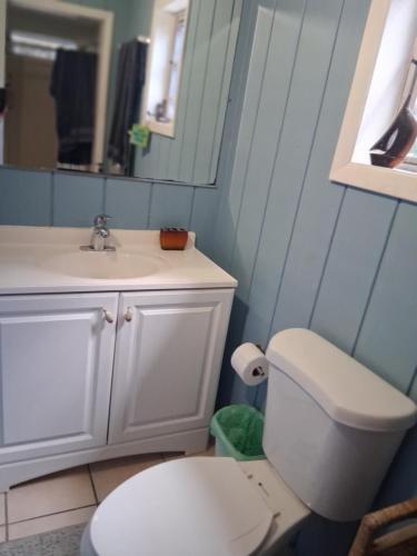 a bathroom with a white toilet and a sink at Neptunes Home in Saint John