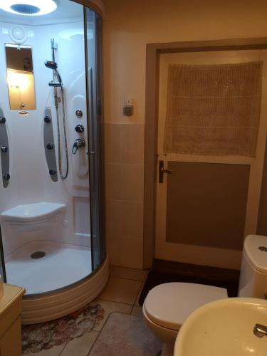 a bathroom with a shower and a toilet and a sink at Köleri B&B in Suure-Jaani