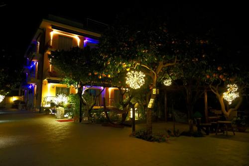 Κήπος έξω από το Hotel Villa Delibera