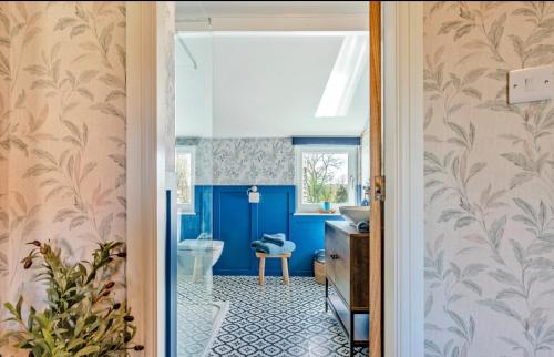 a bathroom with blue walls and a toilet and a sink at Ivydene Cottage Hawsker in Whitby
