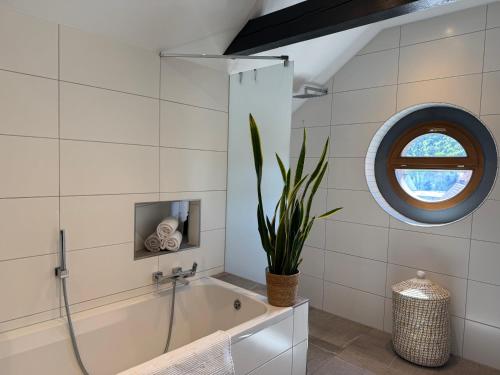 a bathroom with a tub and a potted plant at Wohnung Dorfblick in Hauenstein