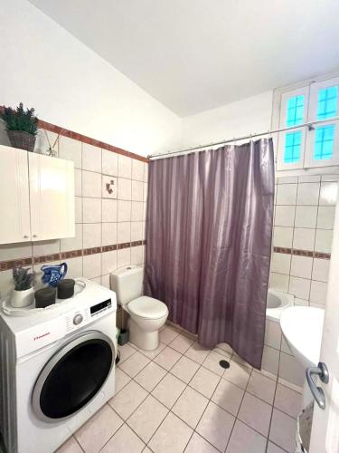 a bathroom with a toilet and a washing machine at Castelli Retreat in Spetses