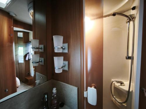 a bathroom with a sink and a mirror at Cara Cabin Self Catering Tiny Home in Wexford