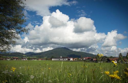 a field of grass with a mountain in the background at Landhotel Binderhäusl Garni in Inzell