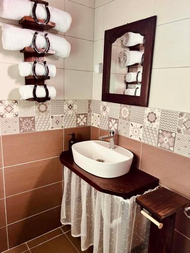a bathroom with a sink and a mirror and towels at Selsko domacinstvo Nevena in Kumanovo