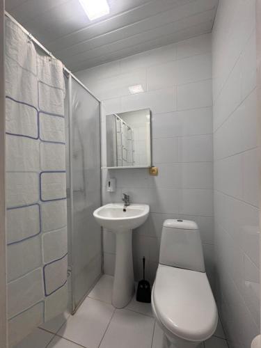 a white bathroom with a toilet and a sink at Санаторій Сонячний in Verbki