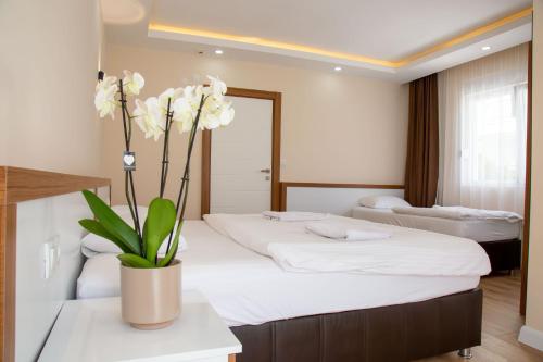 a hotel room with two beds and a vase with flowers at Ada Apart Hotel in Antalya