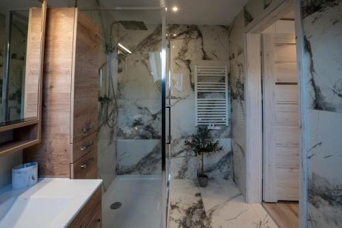 a bathroom with a shower and a sink and a tub at WILLA DASZÓWKA in Daszówka