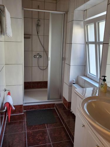 a bathroom with a shower and a sink at Hotel Mosel-Landhaus in Briedern