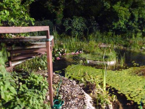 a wooden bench sitting in the middle of a garden at Villa-Hufeland in Berlin