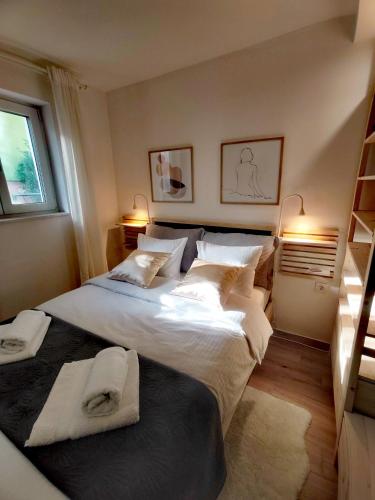 Apartman David