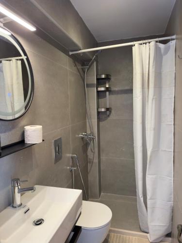 a bathroom with a shower and a toilet and a sink at Tousso Apartment Loggos in Longós