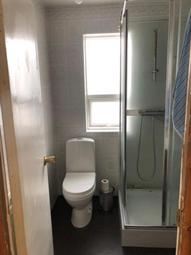 a small bathroom with a toilet and a shower at Summerhouse by the ocean in Drangsnes