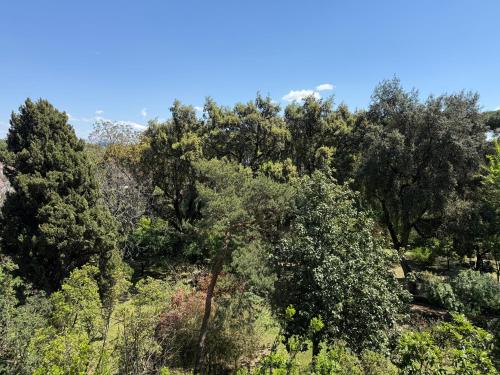 Casa Tramontano - Residenza Orto Botanico