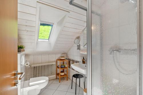 a bathroom with a toilet and a sink and a shower at Spinnertonihof in Bad Peterstal