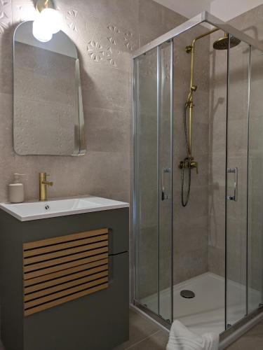 a bathroom with a shower and a sink at Villa Salesiae in Les Salles-sur-Verdon