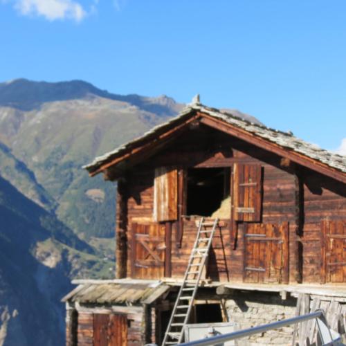 a wooden house with a ladder on the side of it at Chalet Safran in Grächen