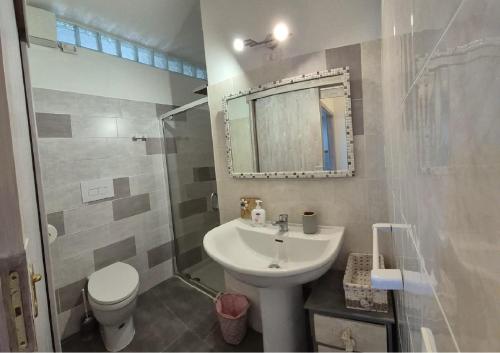 a bathroom with a sink and a toilet and a mirror at Relais La Terrazza in Palmadula