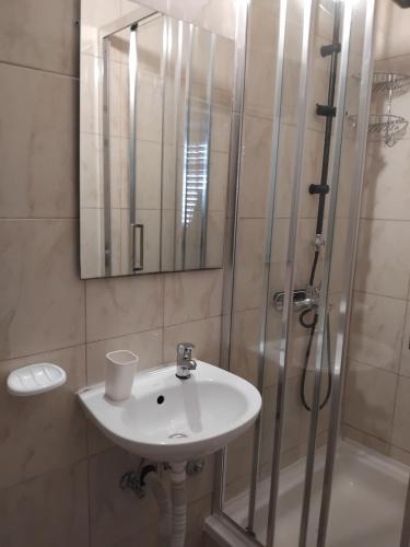 a bathroom with a sink and a shower at Pansion Panorama Dubrovnik's Most Beatiful Sea View in Dubrovnik