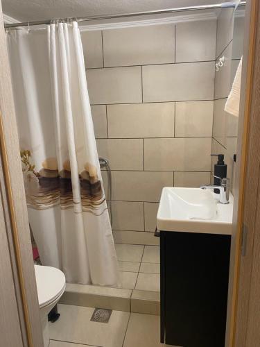 a bathroom with a shower curtain and a sink at Unique Centro Apartment in Kilkis