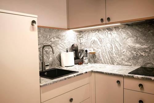 a kitchen with a sink and a counter top at Apartament Studio - Târgu Neamț ,Premium Hotel Style in Târgu Neamț