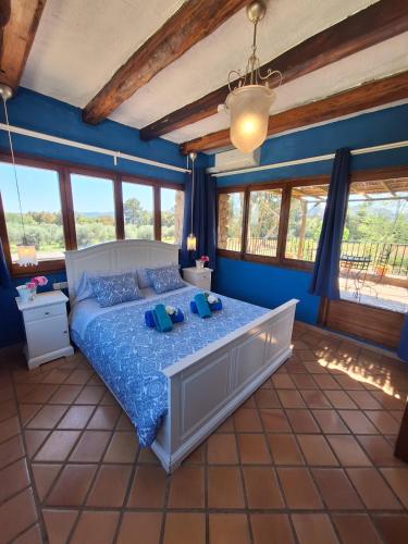 ein Schlafzimmer mit einem Bett, blauen Wänden und Fenstern in der Unterkunft Mas Valoria in Peratallada