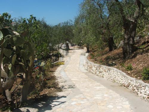 a path in a park with trees and a stone wall at Hotel Piccolo Paradiso in Peschici