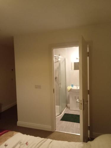 a bathroom with a walk in shower and a sink at Parochial View in Athboy
