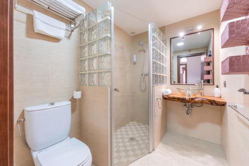 ein Badezimmer mit Dusche, Toilette und Waschbecken in der Unterkunft El Tranco Apartamentos in Villel
