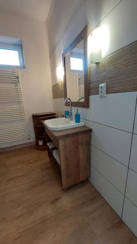 a bathroom with a sink and a mirror at Apartmány LENKA in Mikulášovice