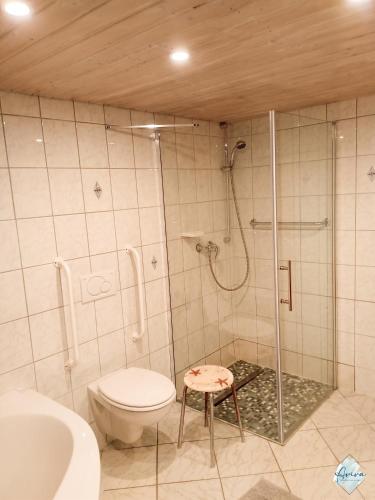 a bathroom with a shower and a toilet and a sink at Aviva ANKERPLATZ - Familien-Oase mit Gartenterrasse und 2 Schlafzimmern in Bodman-Ludwigshafen