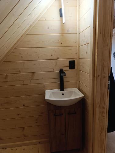a bathroom with a sink in a wooden wall at Sosnowy Oddech in Samsonów