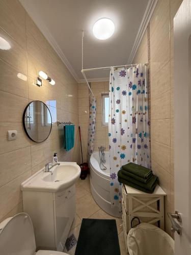 ein Badezimmer mit Waschbecken, Toilette und Dusche in der Unterkunft Mary's Studio in Ipoteşti