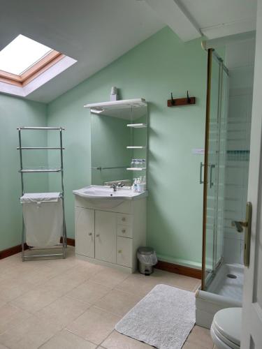 a bathroom with a sink and a shower at Le Chene Vert in Millac
