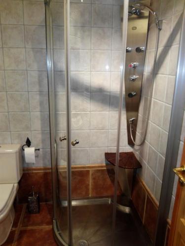 a shower in a bathroom with a toilet at Duplex Calle El Tillo in Escarrilla
