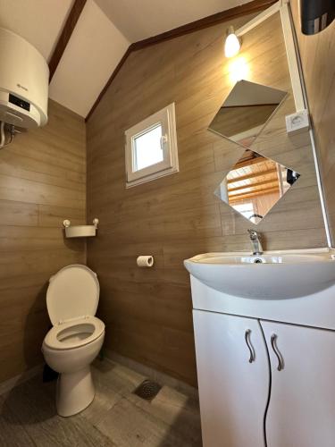 a bathroom with a toilet and a sink at Splav Sava in Ostružnica