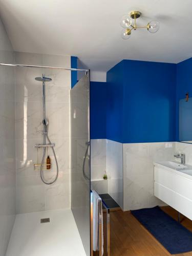 a bathroom with a shower and a sink at Le Petit Jard'Inn in Chalons en Champagne