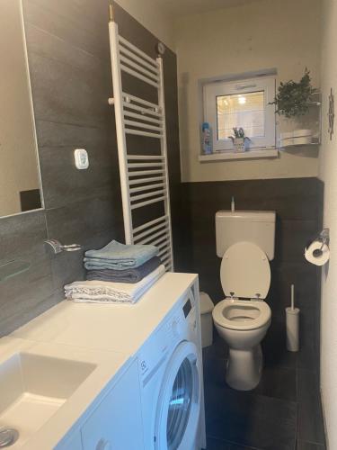 a bathroom with a toilet and a washing machine at Homoki Wellness Üdülőház in Balatonakarattya