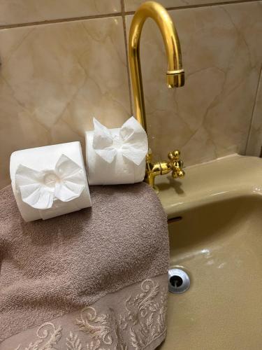 two boxes of tissues sitting on top of a sink at Recanto do sol in Mangaratiba