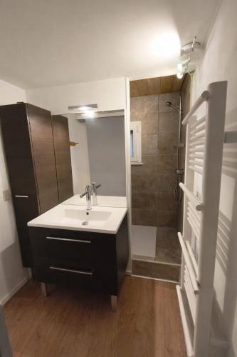 a bathroom with a sink and a shower at Garden Lodge Formiguères in Formiguères