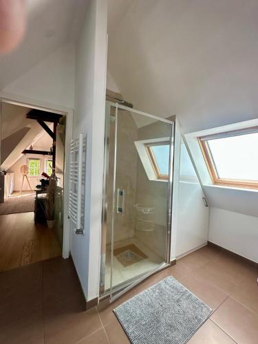 a bathroom with a glass shower in a house at studio 50m2 au bord de l'eau à STRASBOURG in Strasbourg