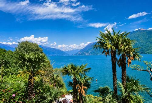 Blick auf einen See mit Palmen und Bergen in der Unterkunft Case Bellissime in Tronzano Lago Maggiore