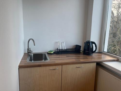 a kitchen counter with a sink and a window at Raasiku majutus in Raasiku