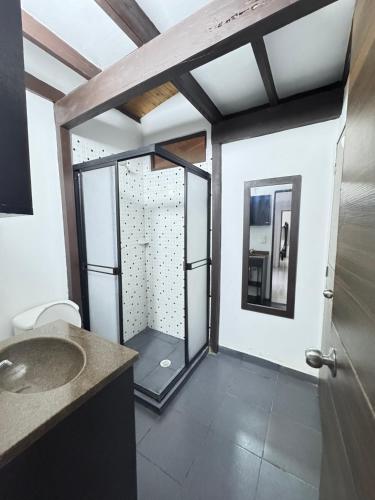 a bathroom with a shower with a sink and a mirror at Casa con PISCINA PRIVADA Cielito in Flandes