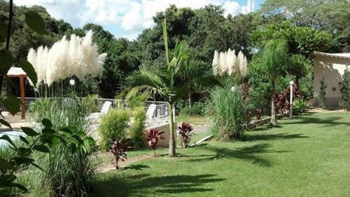 a garden with white plants in a yard at Pousada Vale da Serra in Serra Negra
