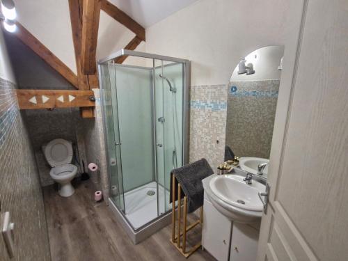 ein Badezimmer mit Dusche, Toilette und Waschbecken in der Unterkunft le verso in Narbonne