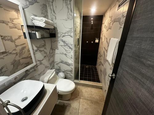 a bathroom with a toilet and a sink and a shower at Best Western Plus Luna del Mar in Manzanillo
